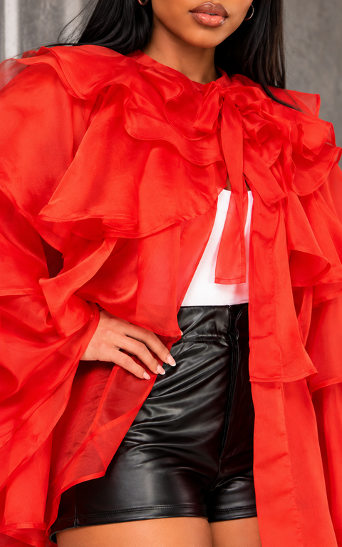 Layered Ruffle Sheer Blouse