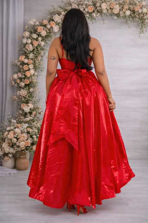 Organza Mullet Skirt (Plus)