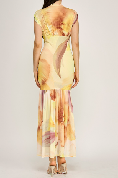 Printed Mesh Maxi Dress